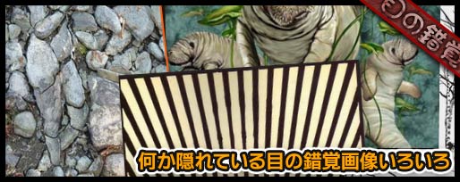 何か隠れている目の錯覚画像いろいろ 何か隠れている目の錯覚画像いろいろ