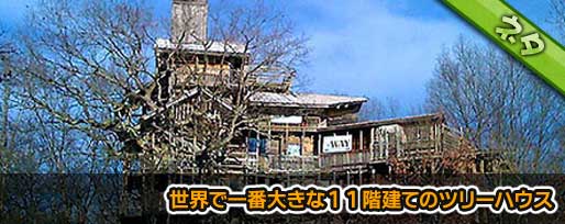 世界で一番大きな１１階建てのツリーハウス