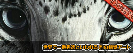 世界で一番秀逸といわれる 豹の錯覚アート 世界で一番秀逸といわれる 豹の錯覚アート