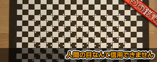 人間の目なんて信用できません
