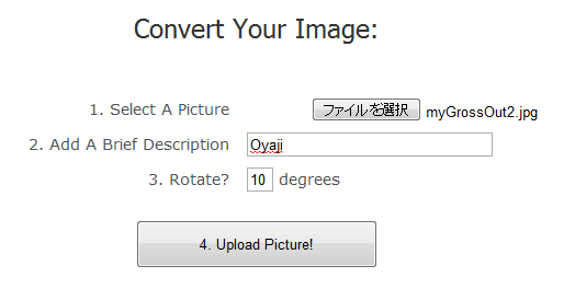 Instantizer2