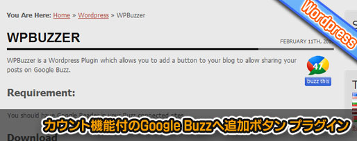 カウント機能付のGoogle Buzzへ追加ボタン プラグイン