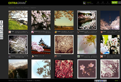 extragram1 桜