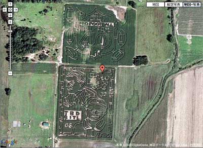 Corn-Mazes.jpg