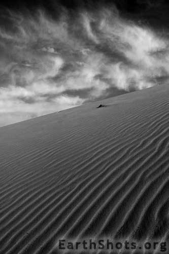 Desert-Playground.jpg