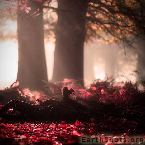Early-Morning-Sunlight.jpg