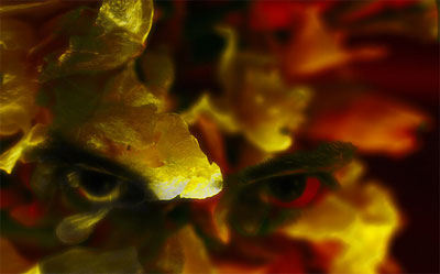 Face-in-the-Flower-6.jpg