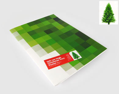 Flat-Packed-Christmas-Tree.jpg