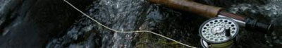 Fly-Fishin.jpg