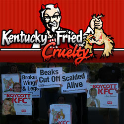 KFC-Protesters.jpg