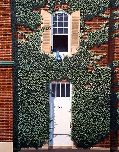 Mural-Illusions-11.jpg