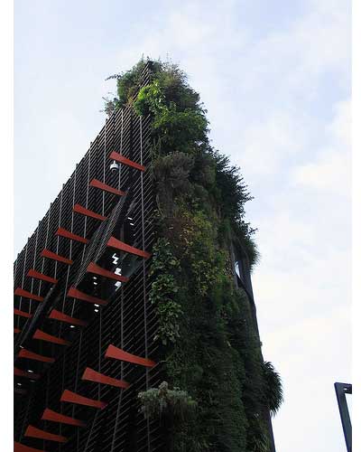 Muro-vegetale.jpg