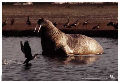 NRDC-Seal.jpg