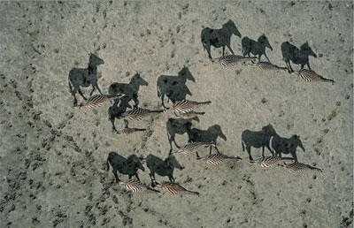 National-Geographic.jpg