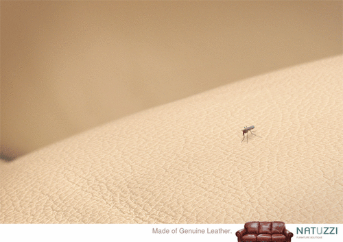 Natuzzi-Mosquito.gif