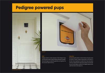 Pedigree-High-dog-flap.jpg