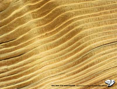 Stop-desertification.jpg