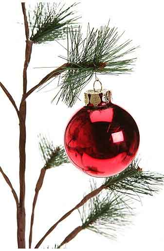 This-Tree-Needs-You2.jpg