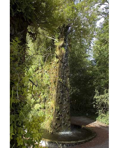 Vegetal-wall.jpg