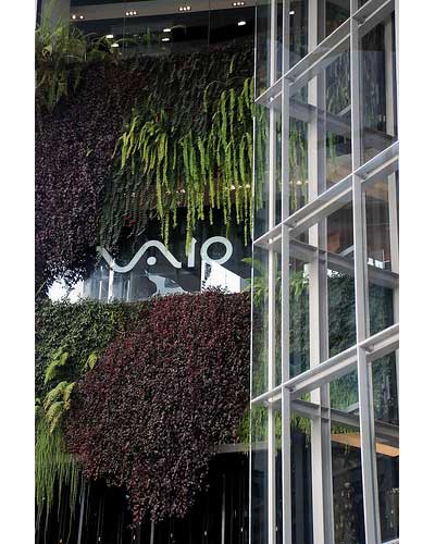 Vertical-Garden-vaio.jpg