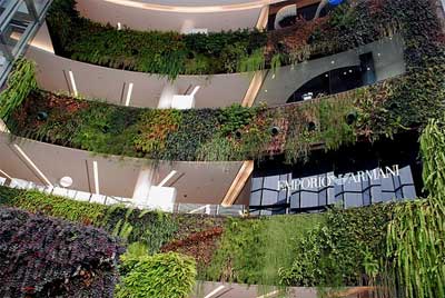 Vertical-Garden.jpg