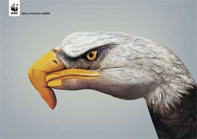 WWF-Eagle.jpg