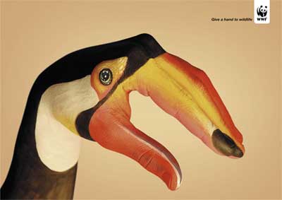 WWF-Toukan.jpg