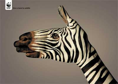 WWF-Zebra.jpg