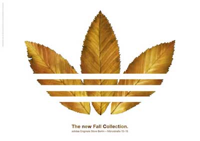 adidas秋物