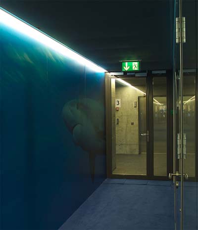 dangerous-corridor.jpg