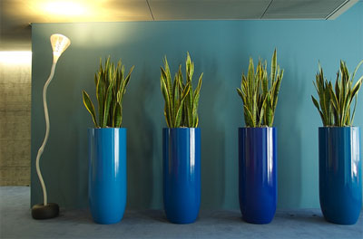 entrance-lobby.jpg