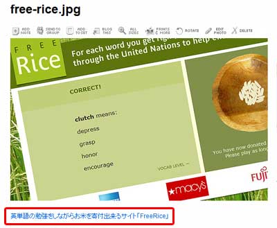 flickr-nofollow2.jpg