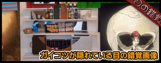 ガイコツが隠れている目の錯覚画像