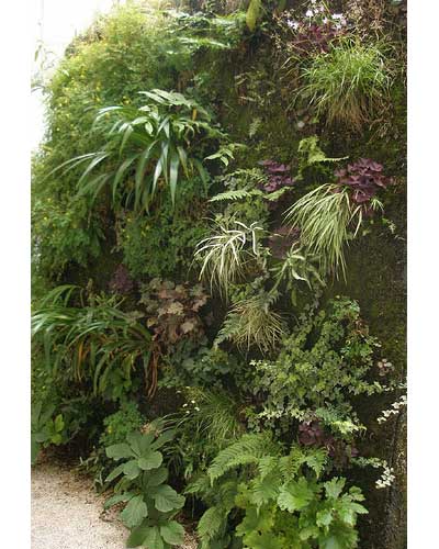 growing-picture.jpg