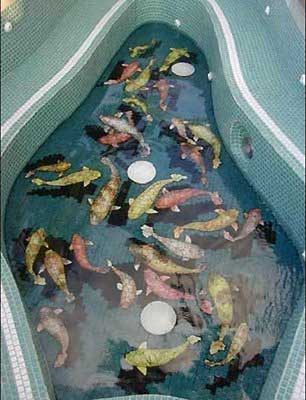 pool-illusion-1.jpg