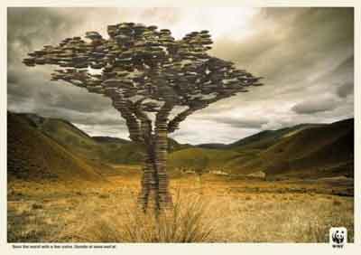 wwf-illusion-237.jpg