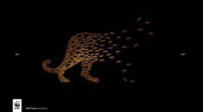 wwf-illusion-238.jpg